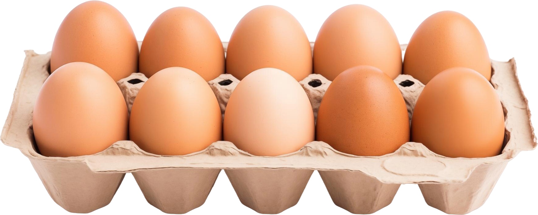 Slika za Jaja iz podnog uzgoja M